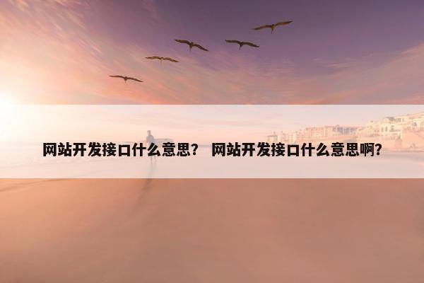 网站开发接口什么意思？ 网站开发接口什么意思啊？