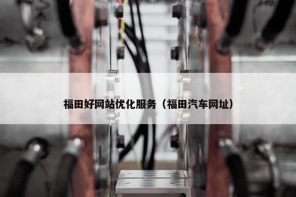 福田好网站优化服务（福田汽车网址）