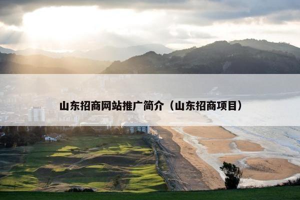 山东招商网站推广简介（山东招商项目）