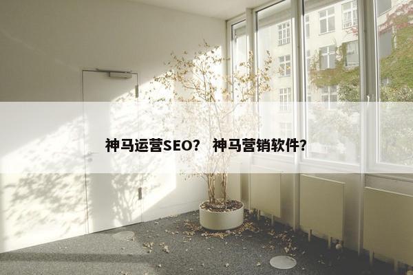 神马运营SEO？ 神马营销软件？