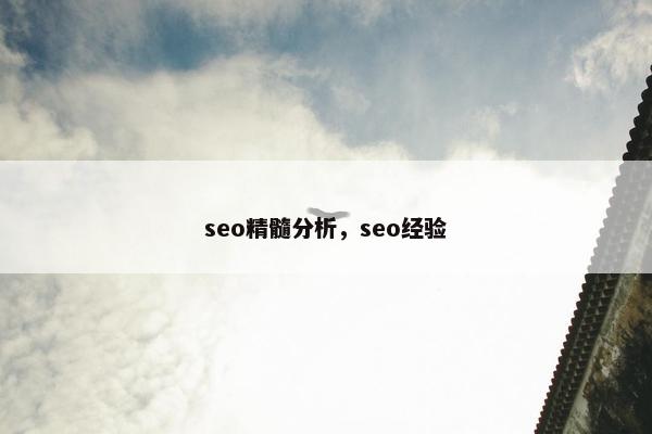 seo精髓分析，seo经验