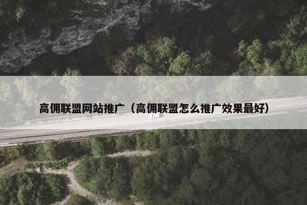 高佣联盟网站推广（高佣联盟怎么推广效果最好）