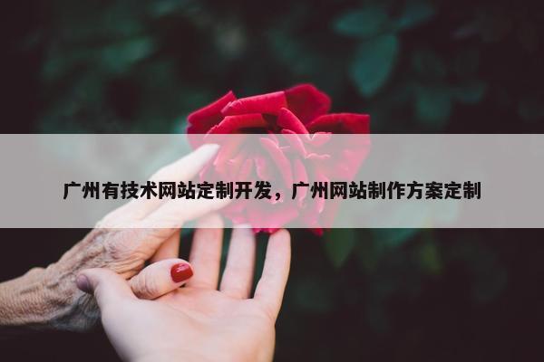 广州有技术网站定制开发，广州网站制作方案定制