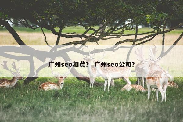 广州seo扣费？ 广州seo公司？