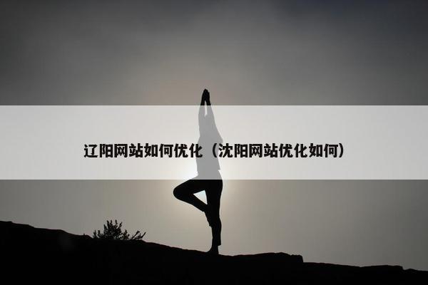辽阳网站如何优化（沈阳网站优化如何）