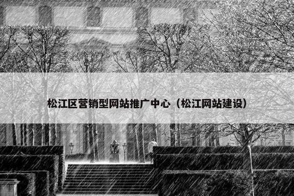 松江区营销型网站推广中心（松江网站建设）