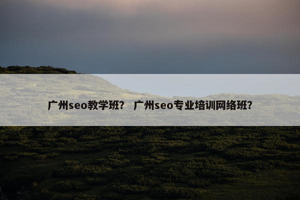 广州seo教学班？ 广州seo专业培训网络班？