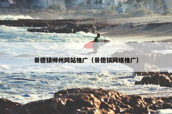 景德镇柳州网站推广（景德镇网络推广）