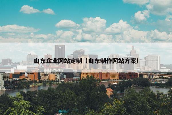 山东企业网站定制（山东制作网站方案）