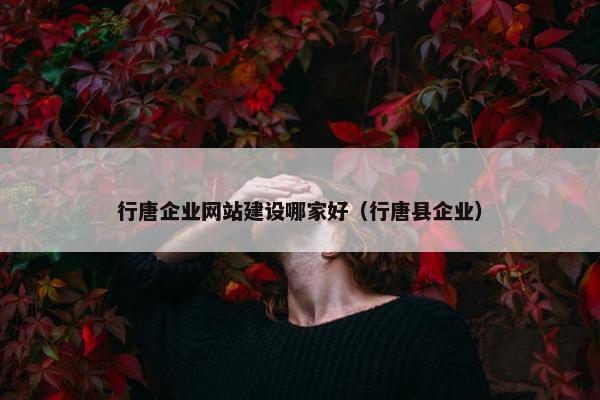 行唐企业网站建设哪家好（行唐县企业）