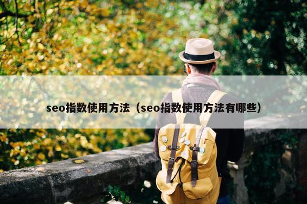 seo指数使用方法（seo指数使用方法有哪些）