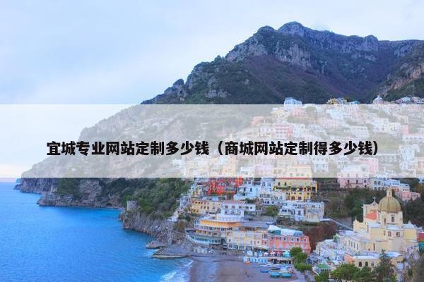 宜城专业网站定制多少钱（商城网站定制得多少钱）