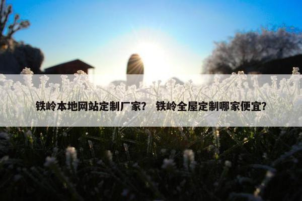 铁岭本地网站定制厂家？ 铁岭全屋定制哪家便宜？