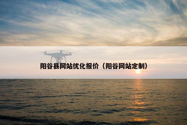 阳谷县网站优化报价（阳谷网站定制）