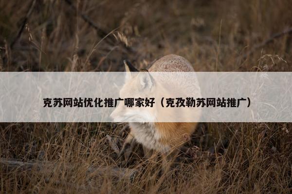 克苏网站优化推广哪家好（克孜勒苏网站推广）