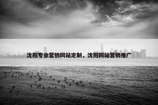 沈阳专业营销网站定制，沈阳网站营销推广