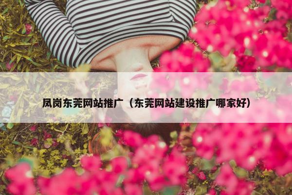凤岗东莞网站推广（东莞网站建设推广哪家好）