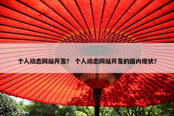 个人动态网站开发？ 个人动态网站开发的国内现状？