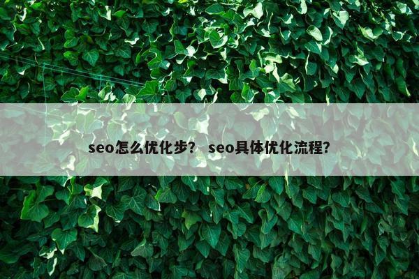 seo怎么优化步？ seo具体优化流程？