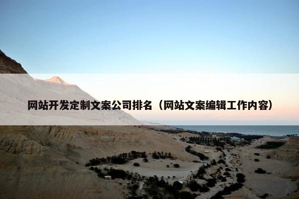 网站开发定制文案公司排名（网站文案编辑工作内容）