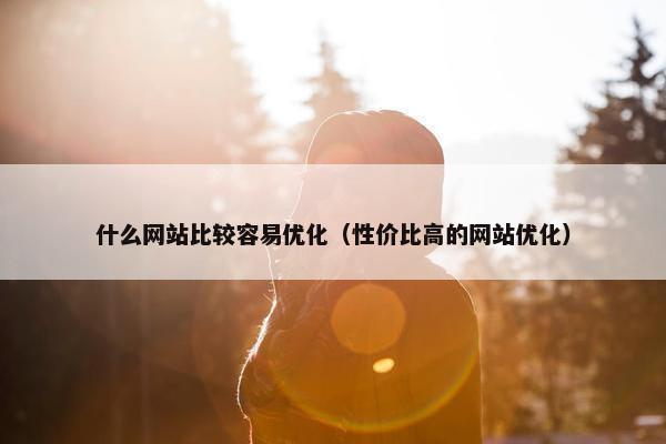 什么网站比较容易优化（性价比高的网站优化）