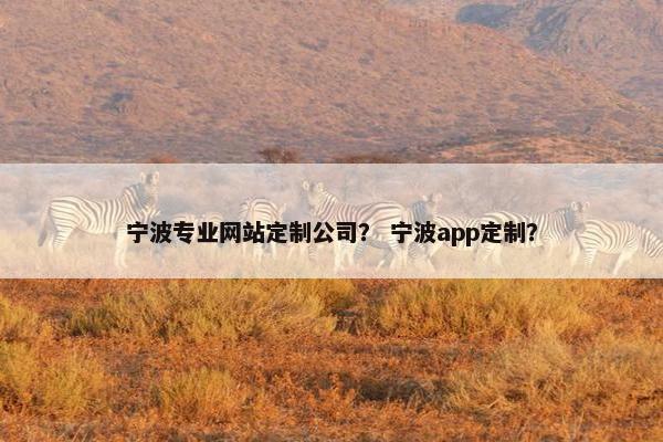 宁波专业网站定制公司？ 宁波app定制？