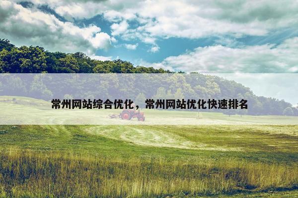 常州网站综合优化，常州网站优化快速排名