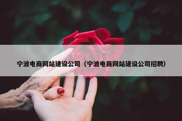 宁波电商网站建设公司（宁波电商网站建设公司招聘）