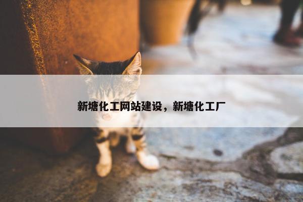 新塘化工网站建设，新塘化工厂