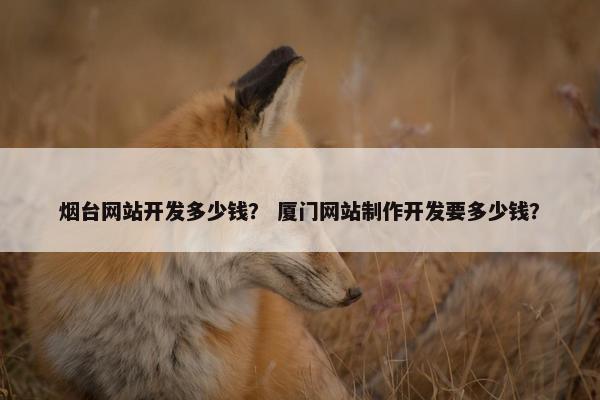 烟台网站开发多少钱？ 厦门网站制作开发要多少钱？