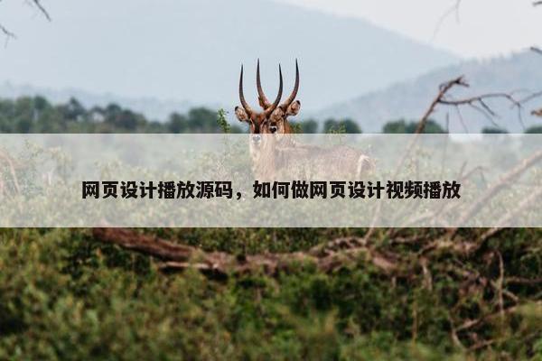 网页设计播放源码，如何做网页设计视频播放