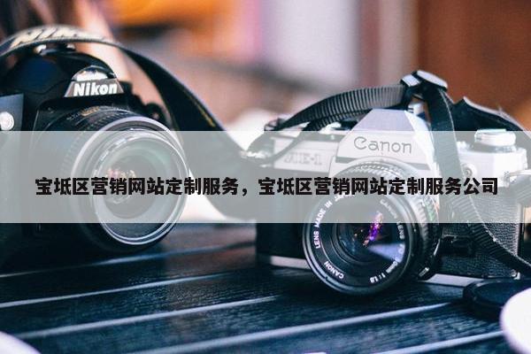 宝坻区营销网站定制服务，宝坻区营销网站定制服务公司