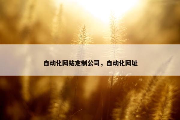 自动化网站定制公司，自动化网址