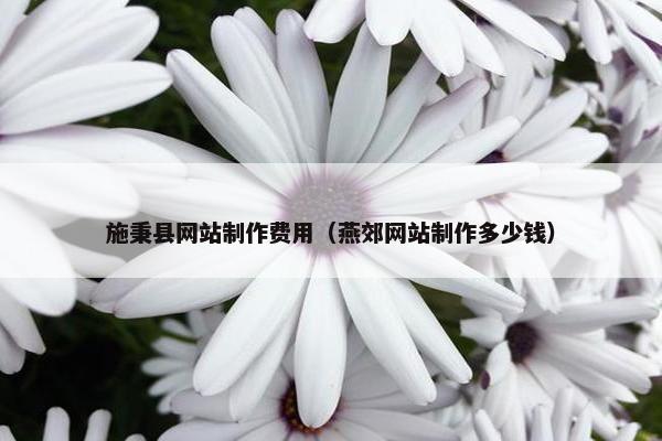 施秉县网站制作费用（燕郊网站制作多少钱）