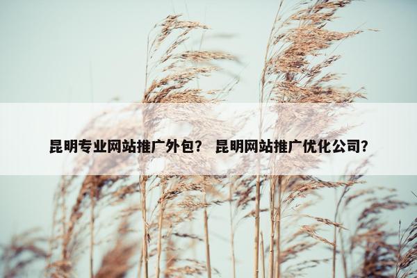 昆明专业网站推广外包？ 昆明网站推广优化公司？