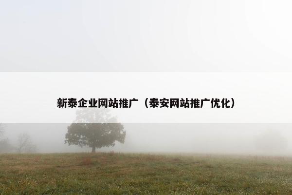 新泰企业网站推广（泰安网站推广优化）