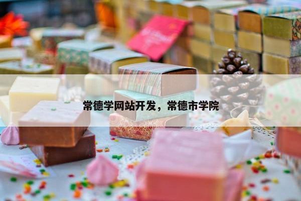 常德学网站开发，常德市学院