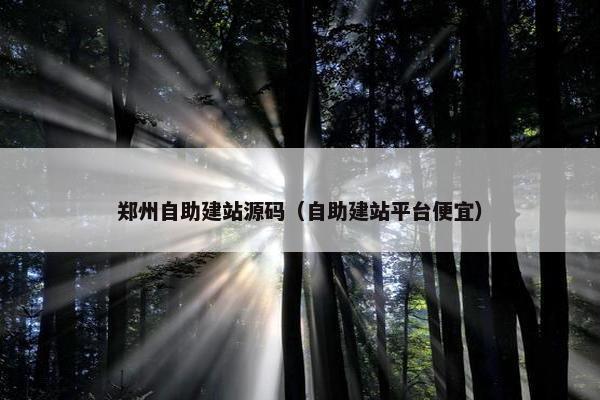 郑州自助建站源码（自助建站平台便宜）