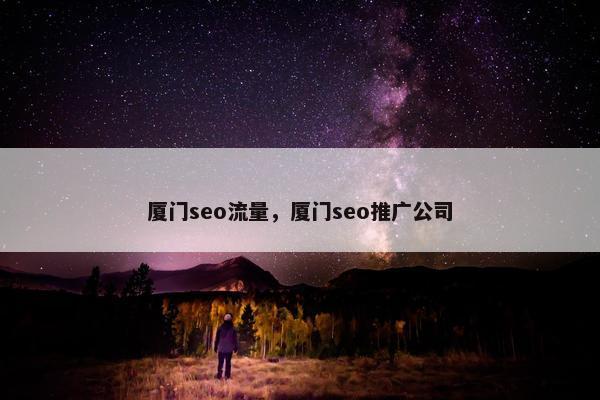 厦门seo流量，厦门seo推广公司