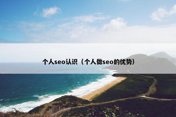 个人seo认识（个人做seo的优势）