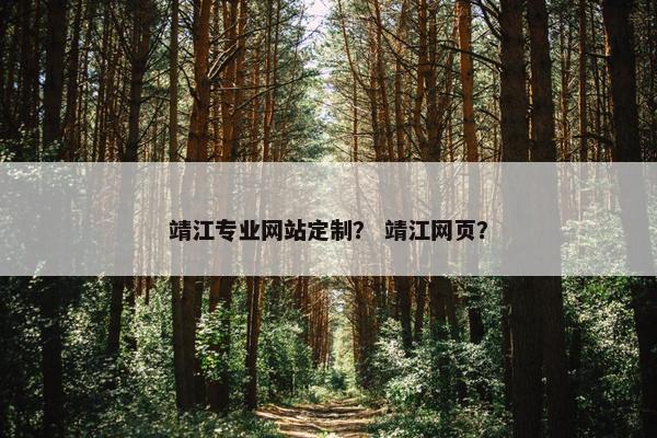 靖江专业网站定制？ 靖江网页？