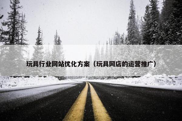 玩具行业网站优化方案（玩具网店的运营推广）