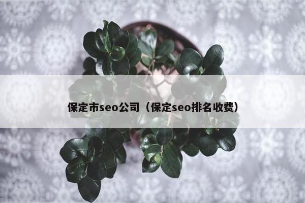 保定市seo公司（保定seo排名收费）