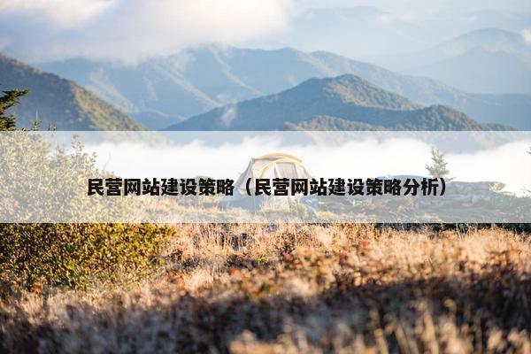 民营网站建设策略（民营网站建设策略分析）