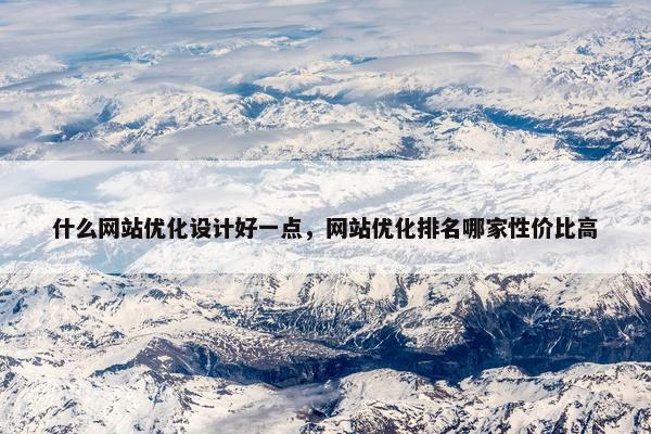 什么网站优化设计好一点，网站优化排名哪家性价比高