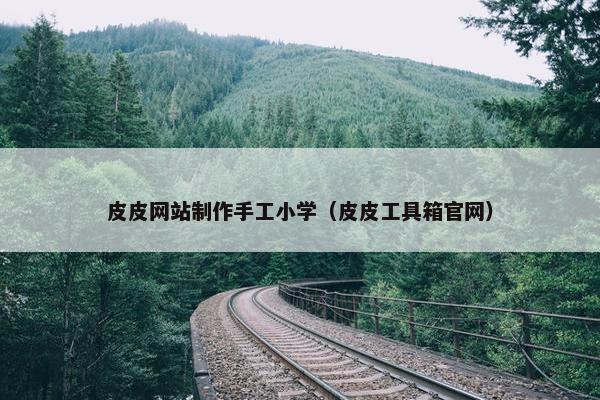 皮皮网站制作手工小学（皮皮工具箱官网）