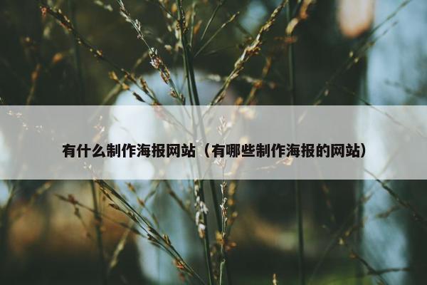有什么制作海报网站（有哪些制作海报的网站）