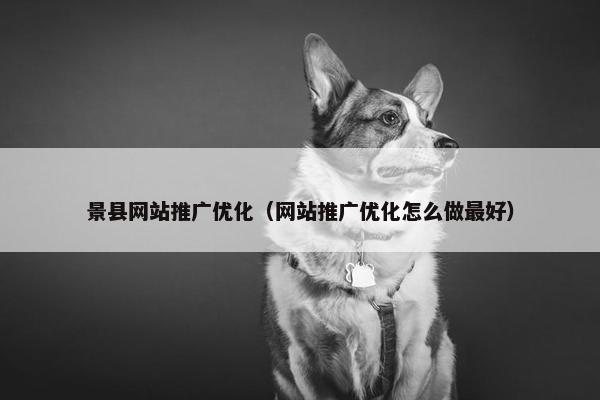 景县网站推广优化（网站推广优化怎么做最好）