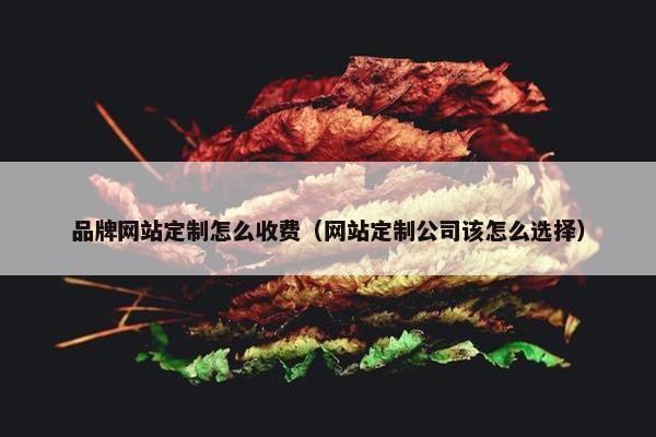 品牌网站定制怎么收费（网站定制公司该怎么选择）