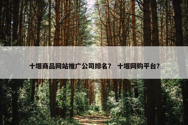 十堰商品网站推广公司排名？ 十堰网购平台？